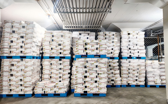 加拿大冷冻龙虾