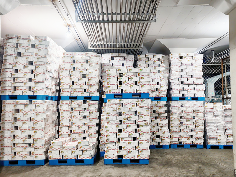 加拿大冷冻龙虾到港