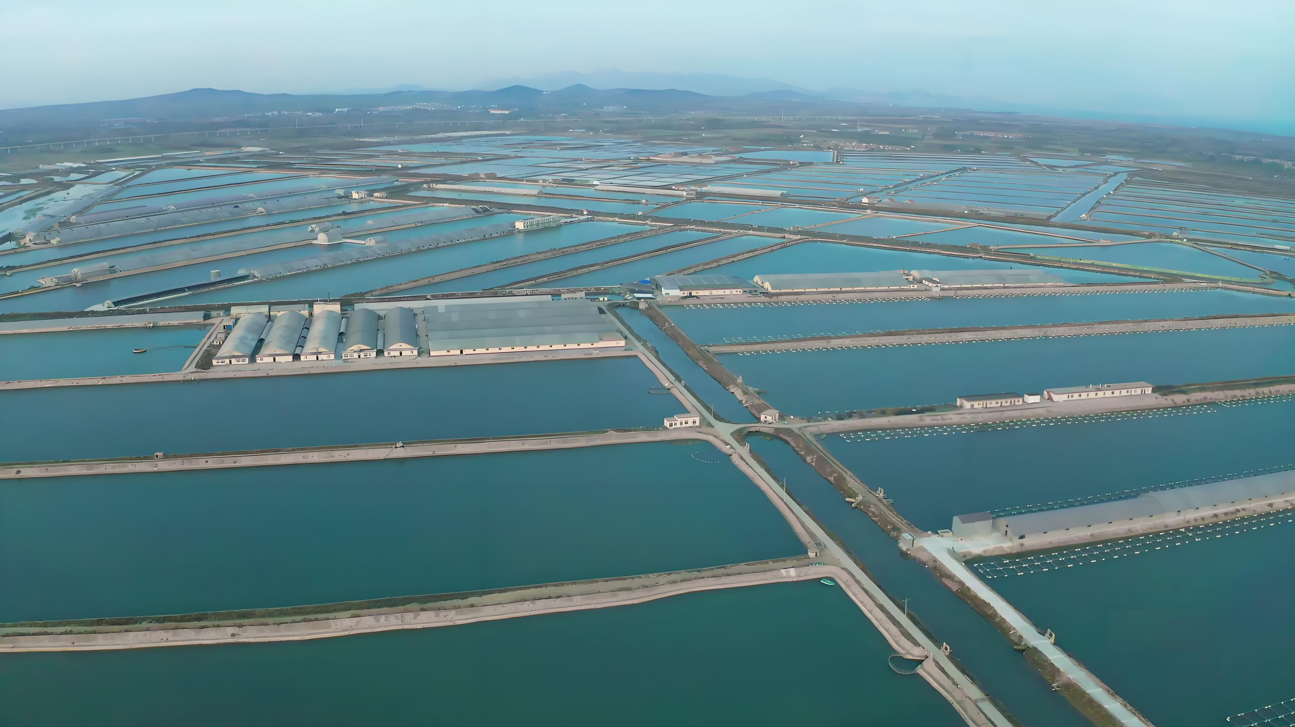 冷冻水产品加工与冷链供应链作业场景